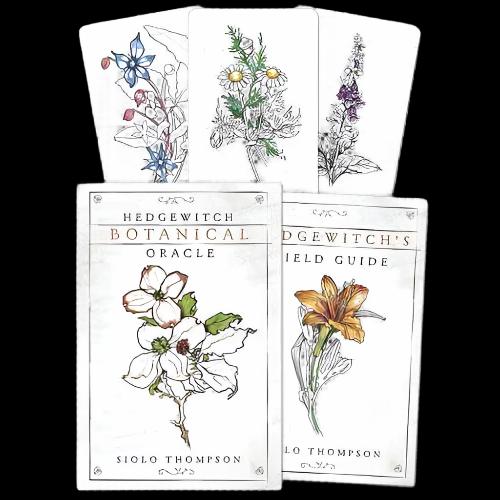Hedgewitch Botanical oracle by Siolo Thompson