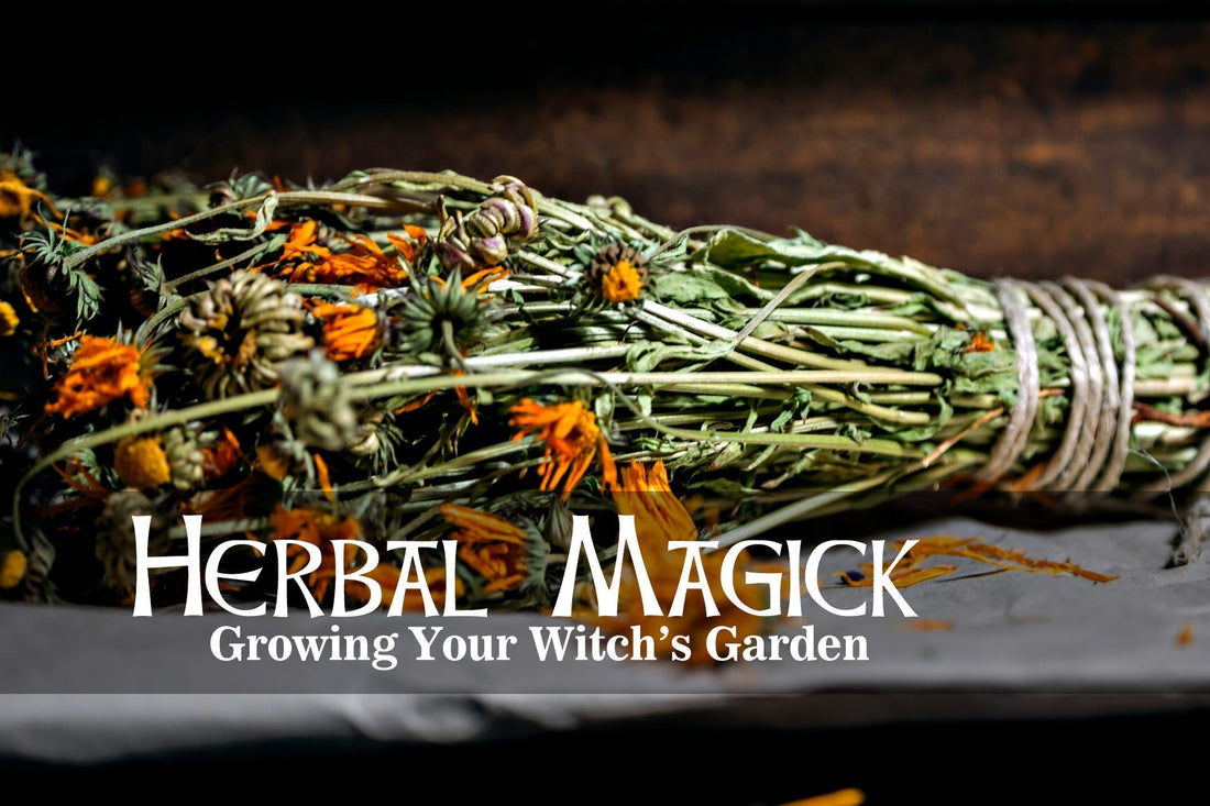 Herbal Magick: Growing Your Witch’s Garden