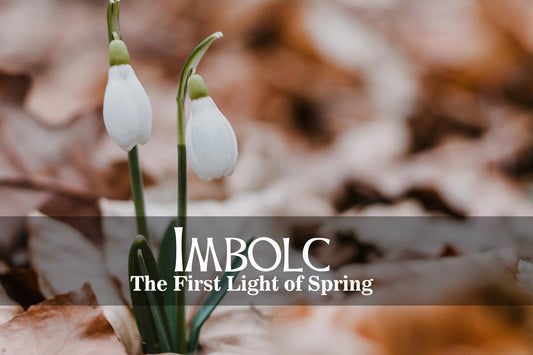Imbolc: The First Light of Spring