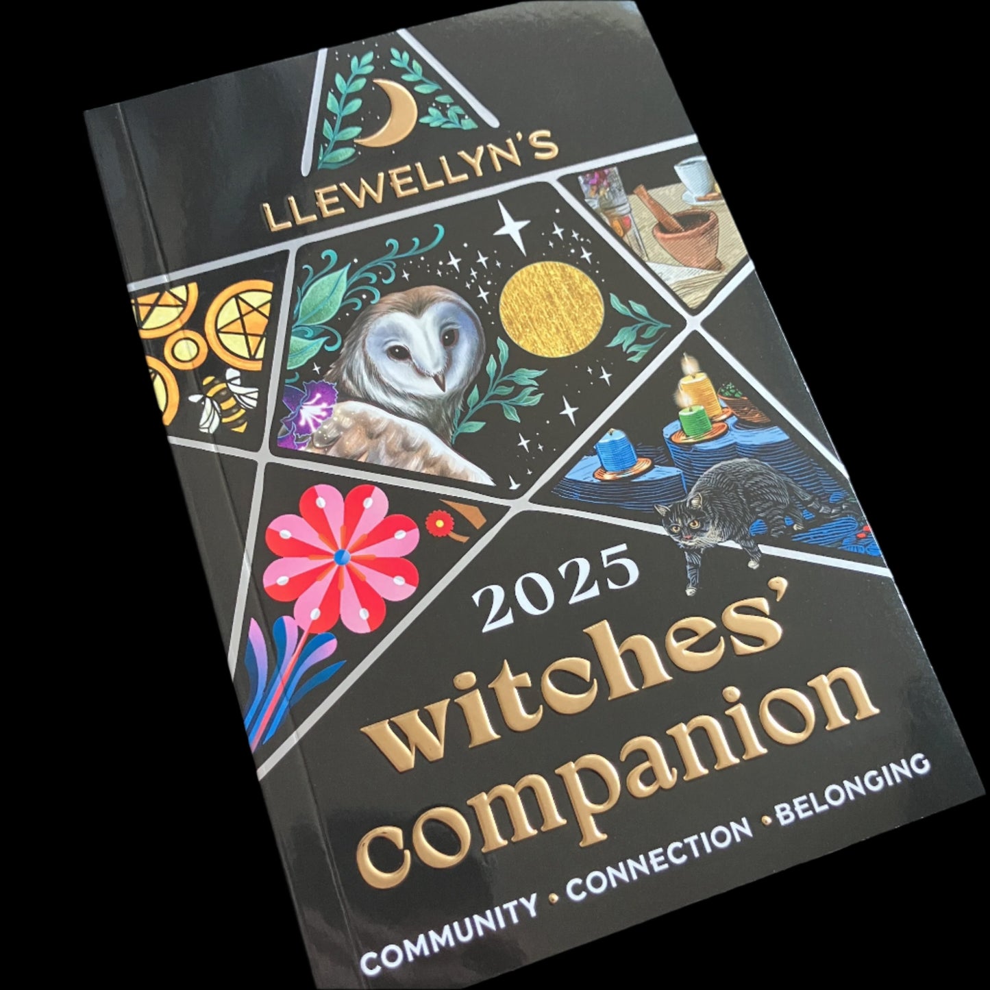 Llewellyn's 2025 Witches' Companion