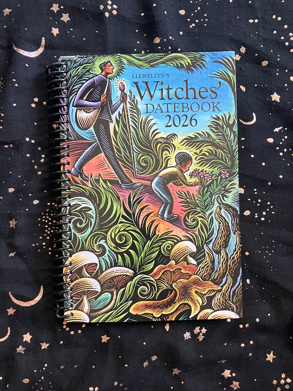 Llewellyn's 2026 Witches' Date Book