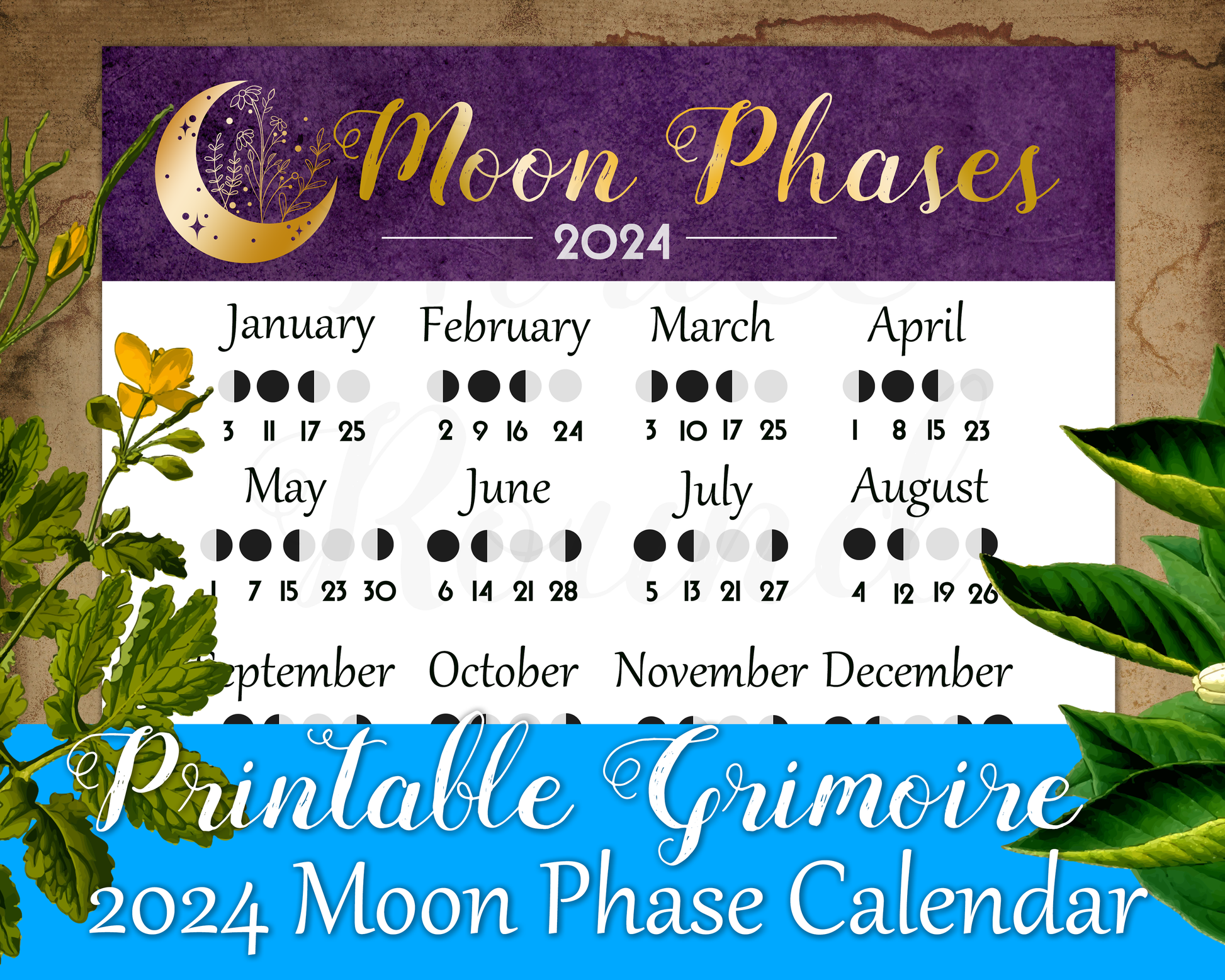 Did He See His Shadow 2025 Calendar Printable