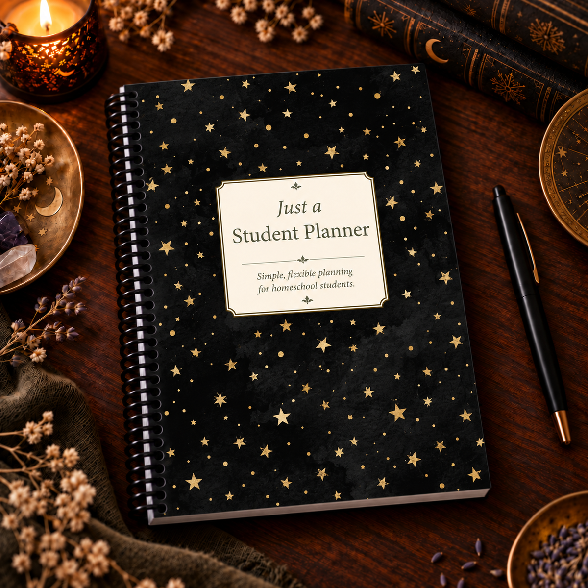 Just a Student Planner - Homeschool Edition | Black Stars Cover
